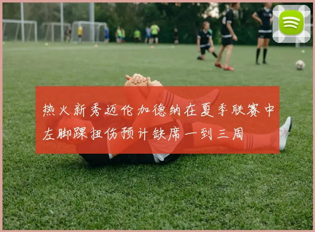 热火新秀迈伦加德纳在夏季联赛中左脚踝扭伤预计缺席一到三周